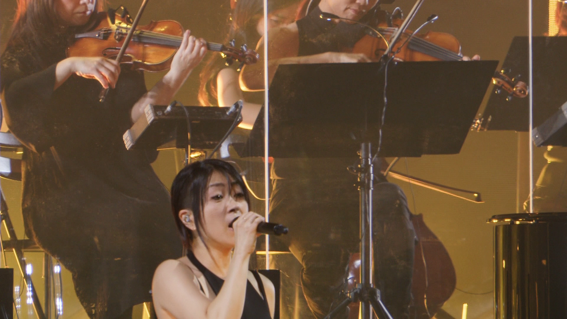 [宇多田光演唱会].Hikaru.Utada.Laughter.in.the.Dark.Tour.2018.BluRay.1080i.AVC.LPCM.2.0-NoGroup     43.81G-24.png