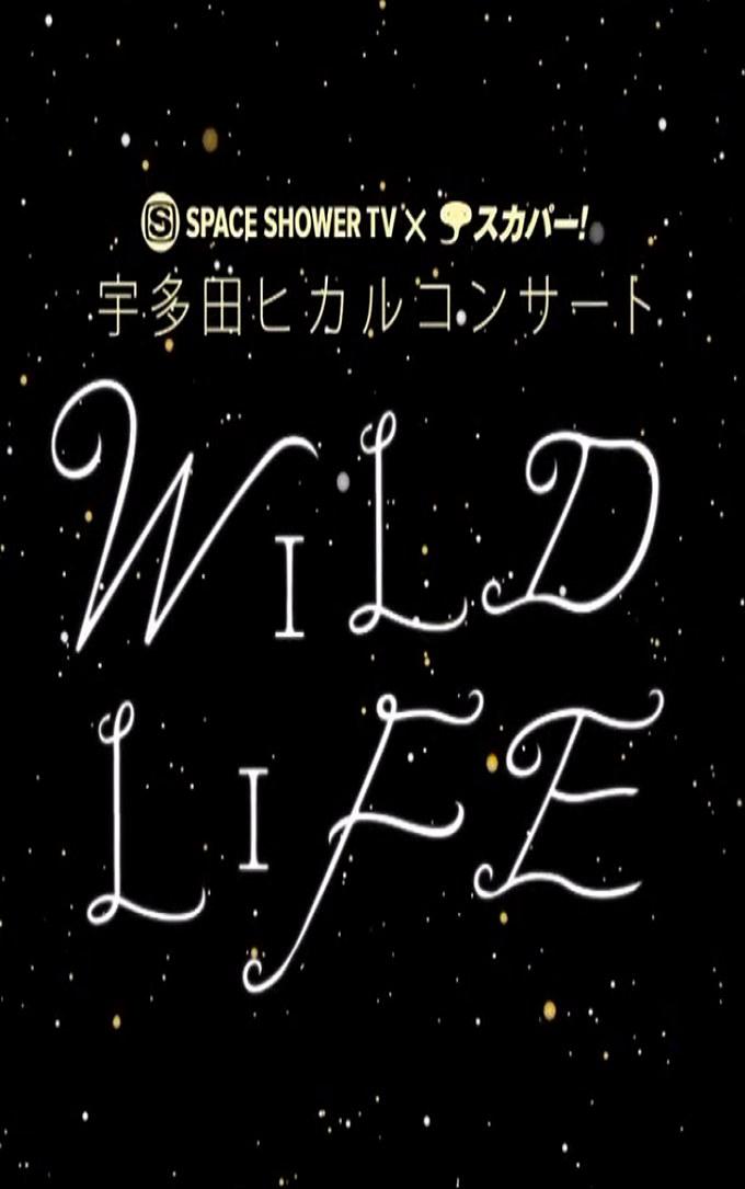 [宇多田光演唱会].Utada.Hikaru.Wild.Life.2010.BluRay.1080i.AVC.LPCM.2.0-NoGroup     45.11G