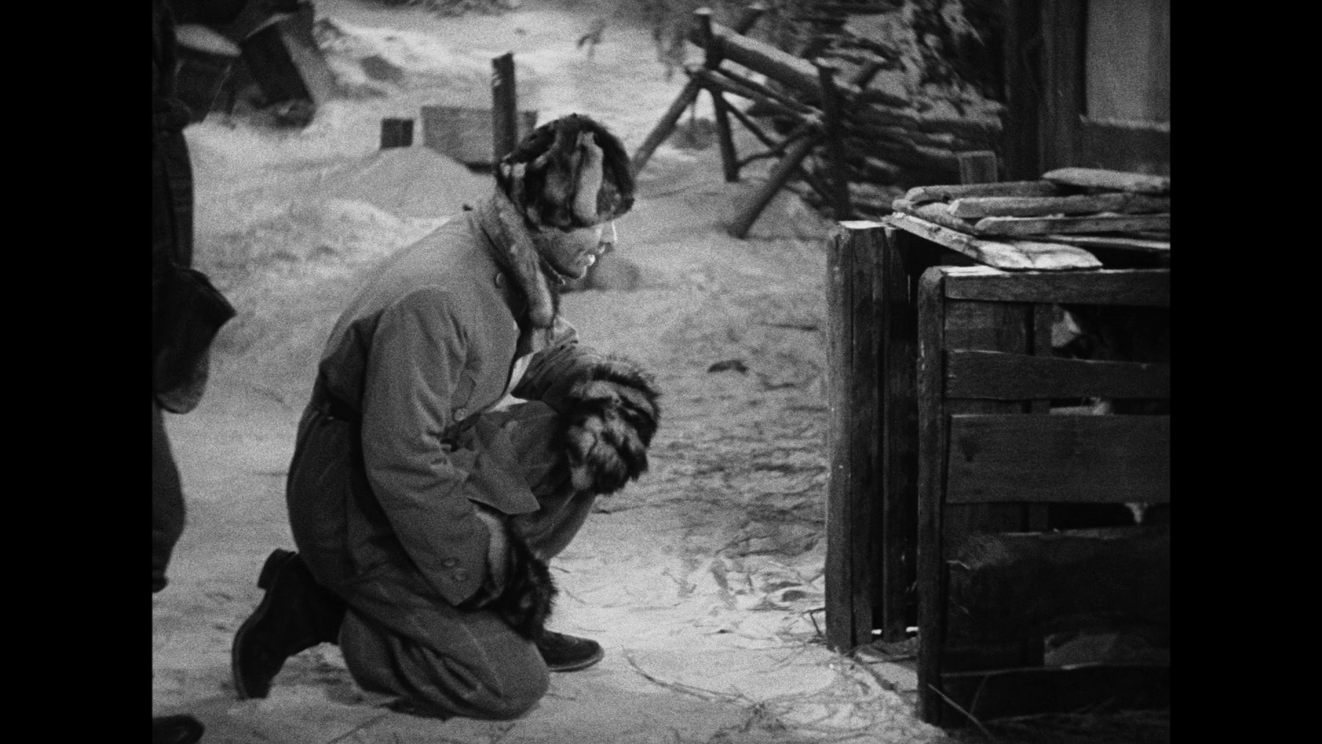 [野性的呼唤].The.Call.of.the.Wild.1935.GER.BluRay.1080p.AVC.DTS-HD.MA.2.0-OLDHAM    44.9G-5.png