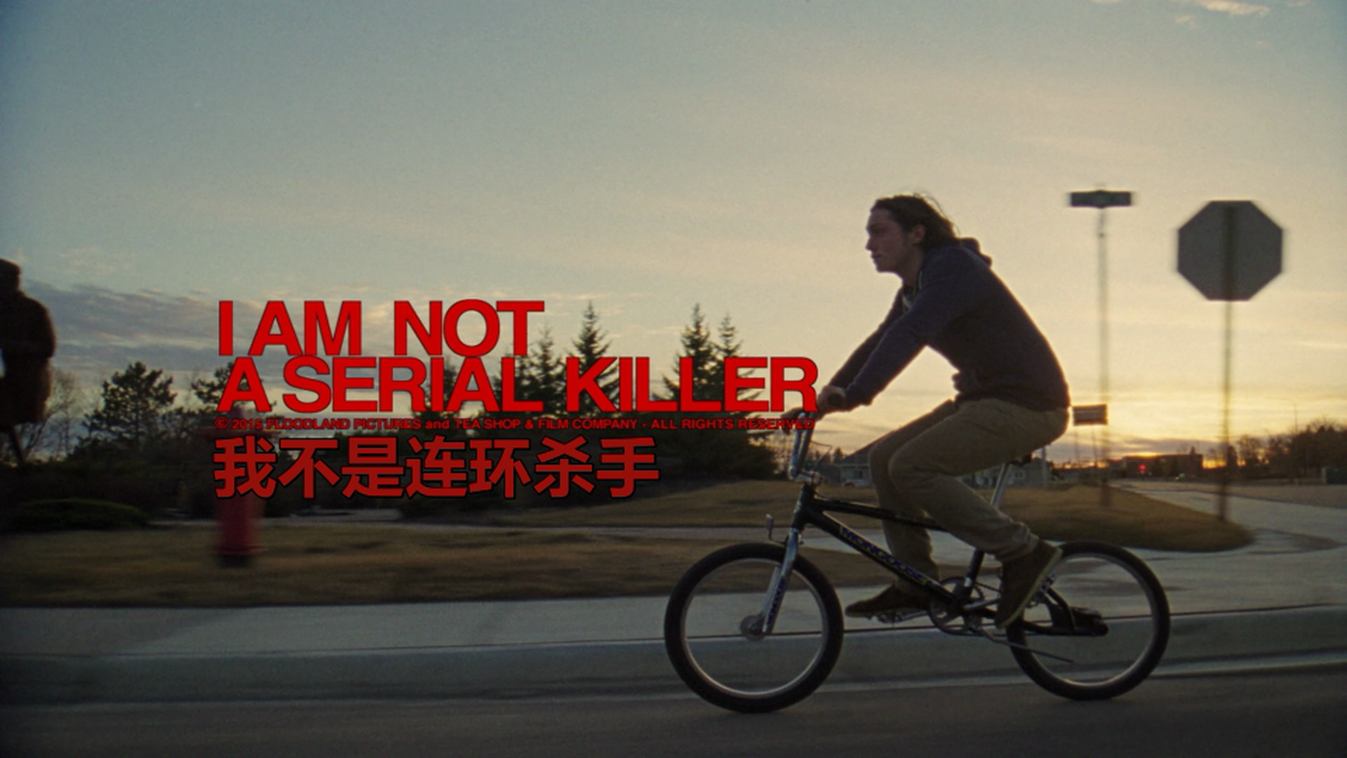 [我不是连环杀手].I.Am.Not.A.Serial.Killer.2016.BluRay.1080p.AVC.DTS-HD.MA.5.1-bb@HDSky    31.45G-3.png