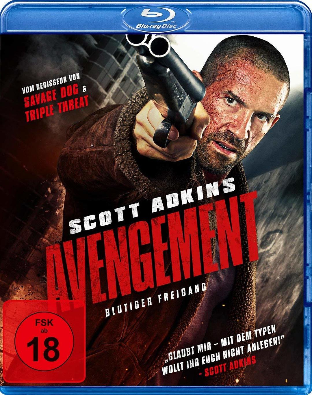 [复仇者].Avengement.2019.BluRay.1080p.AVC.DTS-HD.MA.5.1-Pete@HDSky      20.38G-1.jpg