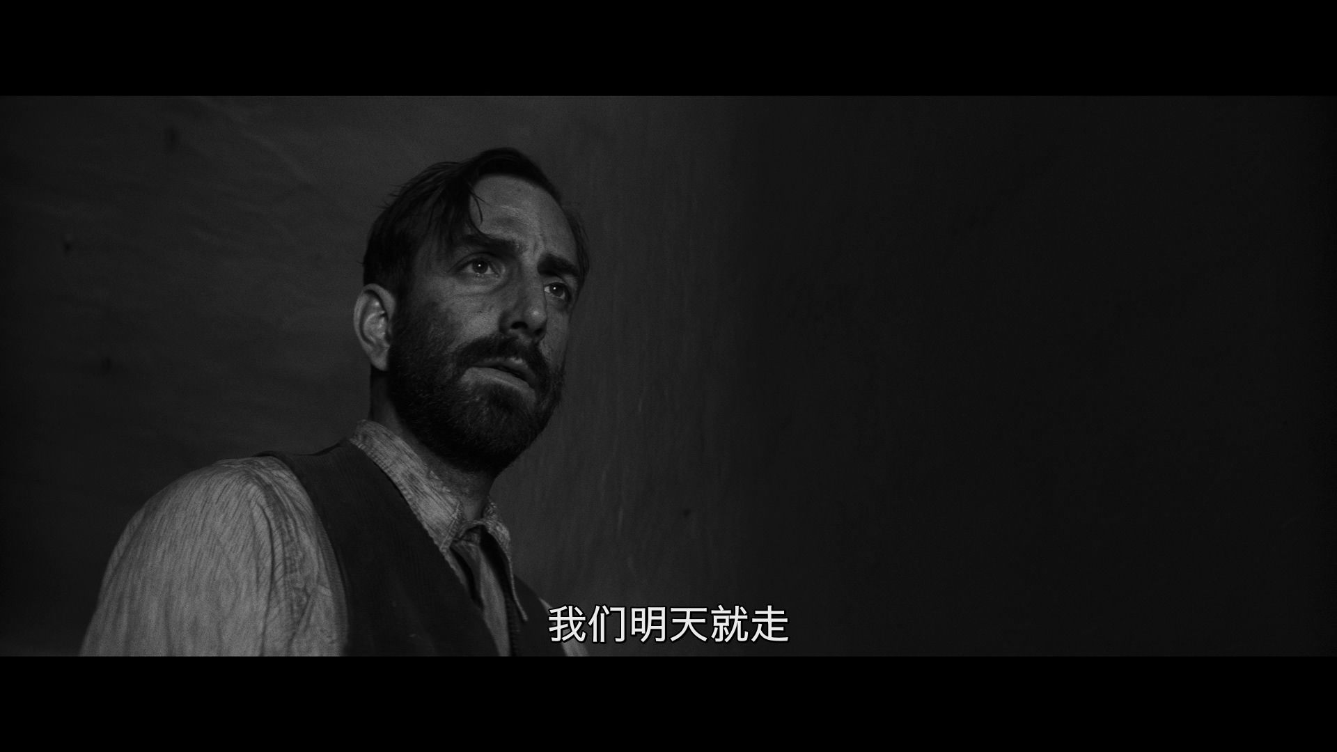 [被涂污的鸟].The.Painted.Bird.2019.CZE.BluRay.1080p.AVC.DTS-HD.MA.5.1-DiY@HDHome      43.49G-5.jpg