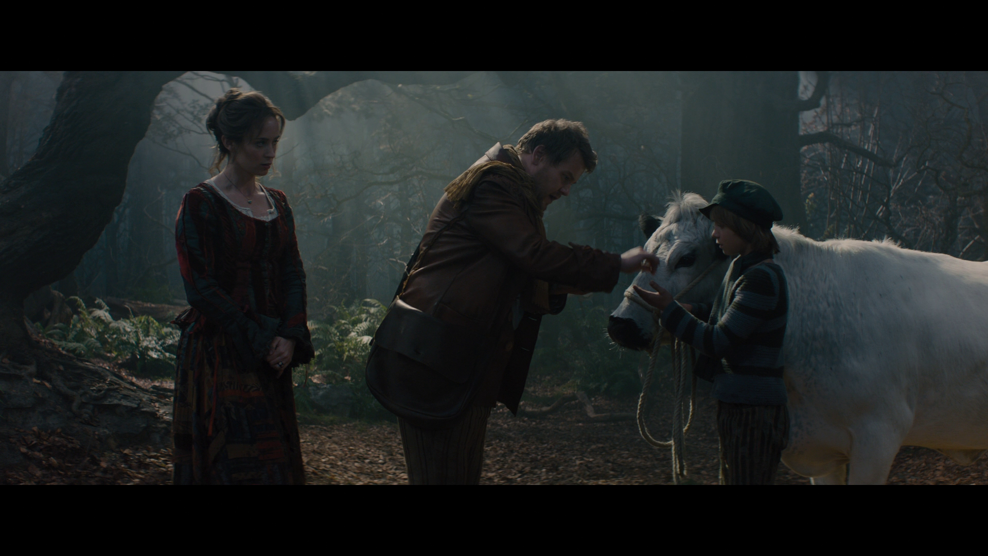 [魔法黑森林].Into.The.Woods.2014.BluRay.1080p.AVC.DTS-HD.MA.7.1-F113@HDSpace      44.56G-28.png