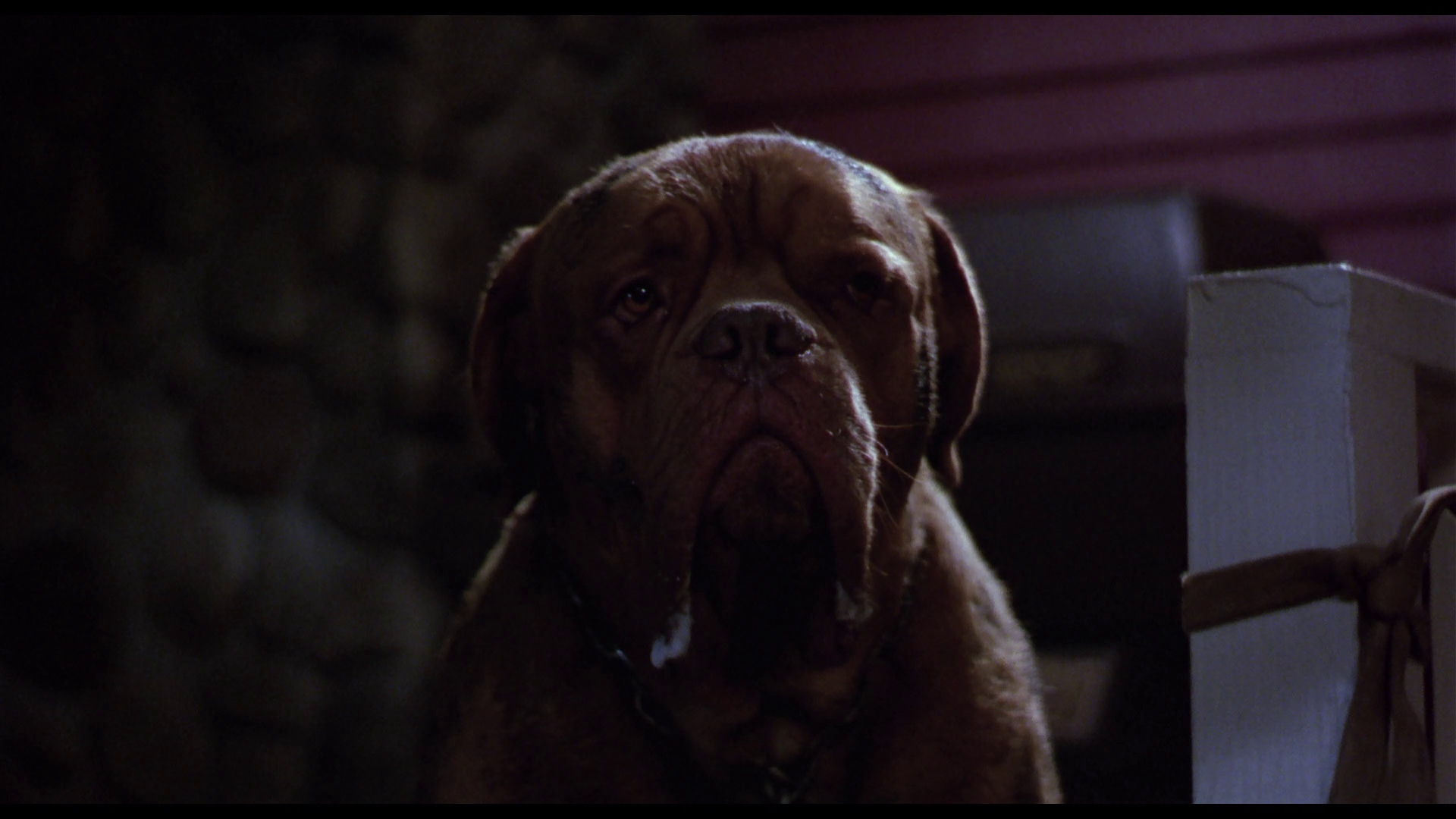 [古惑丑拍档].Turner.Hooch.1989.BluRay.1080p.AVC.DTS-HD.MA.5.1-F13@HDSpace     21.36G-8.jpg