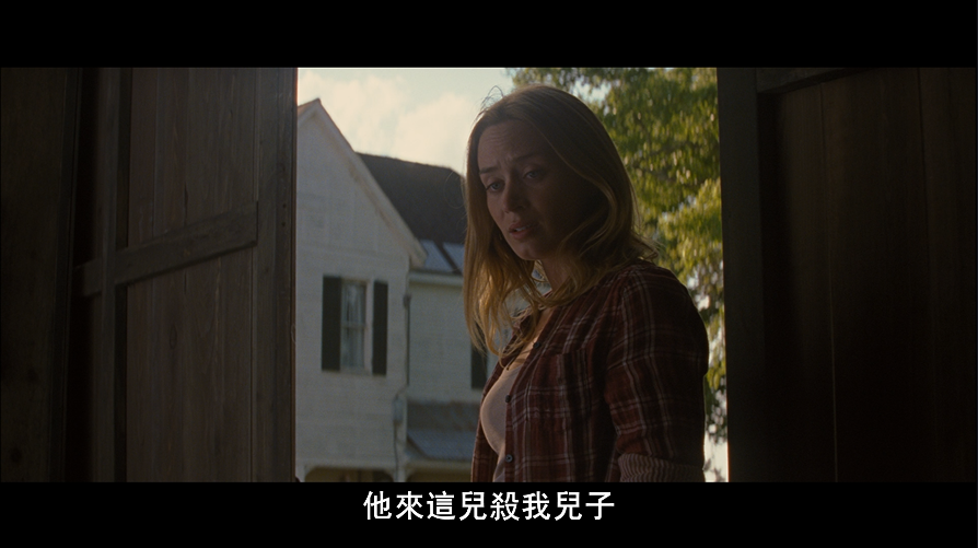 [环形使者].Looper.2012.BluRay.1080p.AVC.DTS-HD.MA.5.1-ermangwy@CHDBits     46.99G-8.png