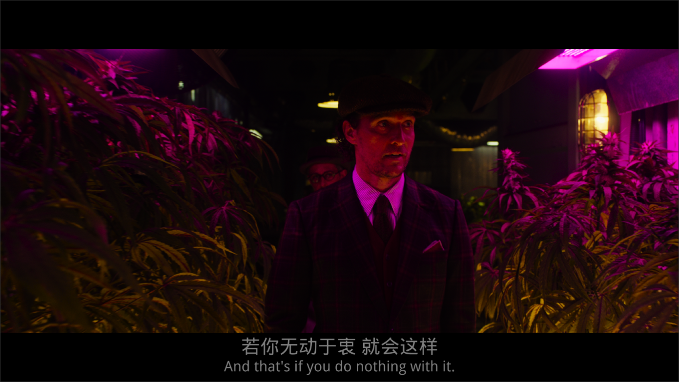 [绅士们].The.Gentlemen.2019.UHD.BluRay.2160p.HEVC.TrueHD.7.1-Thor@HDSky     60.64G-4.png