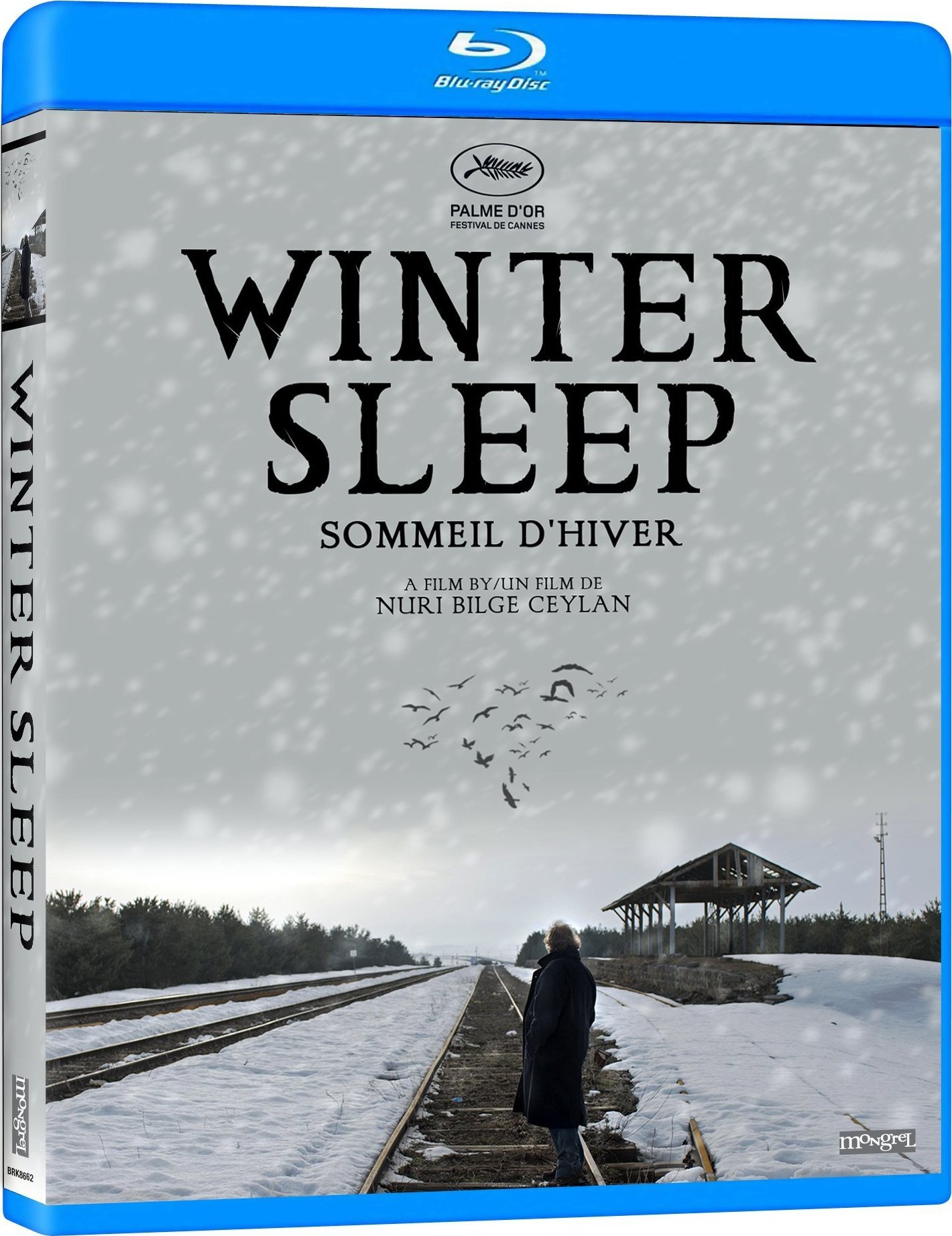 [ 冬眠 / 冬日苏醒(港/台) / 冬日甦醒 / Winter Sleep / Kis Uykusu  ][DIY简繁中字] Winter Sleep 2014 1080p Blu-ray AVC DTS-HD MA 5.1-lingfriendly@OurBits    [44.68 GB]-1.jpg