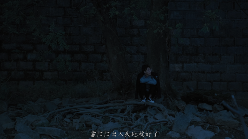 [春江水暖 ][DIY简繁字幕]Dwelling in the Fuchun Mountains 2019 1080p FRA Blu-ray AVC DTS-HD MA 5.1-DIY@Ryu [43.03 GB]-6.png