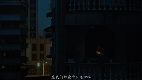 [春江水暖 ][DIY简繁字幕]Dwelling in the Fuchun Mountains 2019 1080p FRA Blu-ray AVC DTS-HD MA 5.1-DIY@Ryu [43.03 GB]-7.png