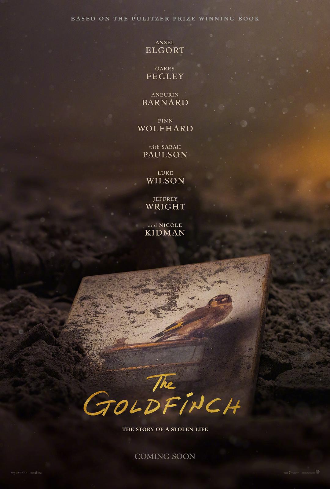 [ 金翅雀 ]  [DIY简繁/简繁英双语字幕] The Goldfinch 2019 Blu-ray 1080p AVC DTS-HD MA 5.1-Pete@HDSky    [39.55 GB ]-1.jpg