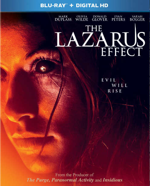 [ 起死回生 / 回魂实验(港) ]  [ 美版原盘 DIY简繁双语字幕] The Lazarus Effect 2015 US Blu-ray 1080p AVC DTS-HD MA 5.1-wezjh@OurBits     [30.42 GB]-1.png