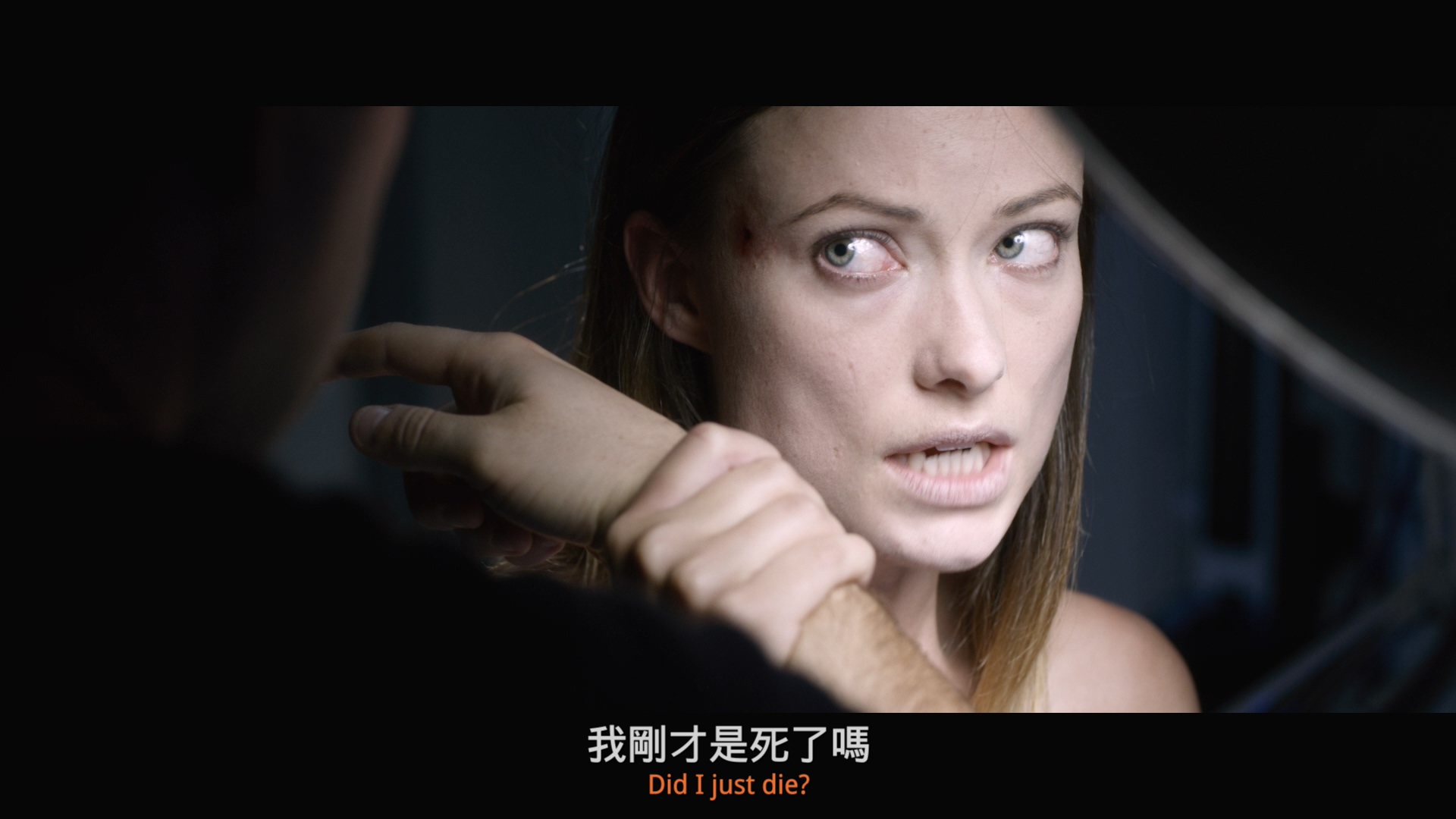 [ 起死回生 / 回魂实验(港) ]  [ 美版原盘 DIY简繁双语字幕] The Lazarus Effect 2015 US Blu-ray 1080p AVC DTS-HD MA 5.1-wezjh@OurBits     [30.42 GB]-6.jpg