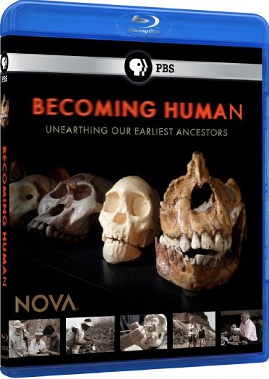 [ NOVA纪录片：人类起源1：混沌初开 ]  [DIY简繁中字] NOVA Becoming Human Part 1: First Steps 2009 Blu-ray 1080i AVC DD 2.0    [40.35 GB ]-1.jpg