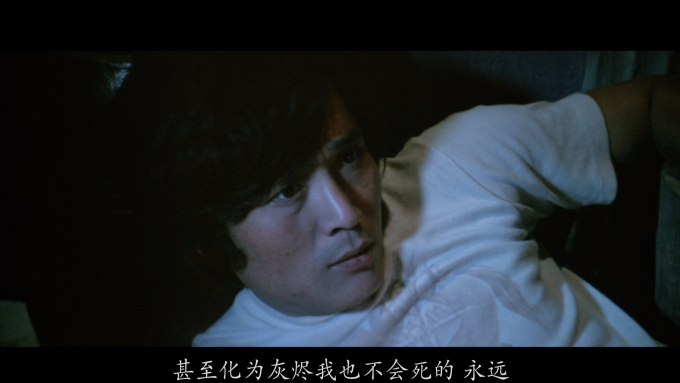 [追逐杀人蝶的女孩] [金绮泳 DIY简繁中字] Woman Chasing the Butterfly of Death 1978 1080p Bluray AVC DTS-HD MA 2.0-DIY@Ryu [38.69 GB]-3.png