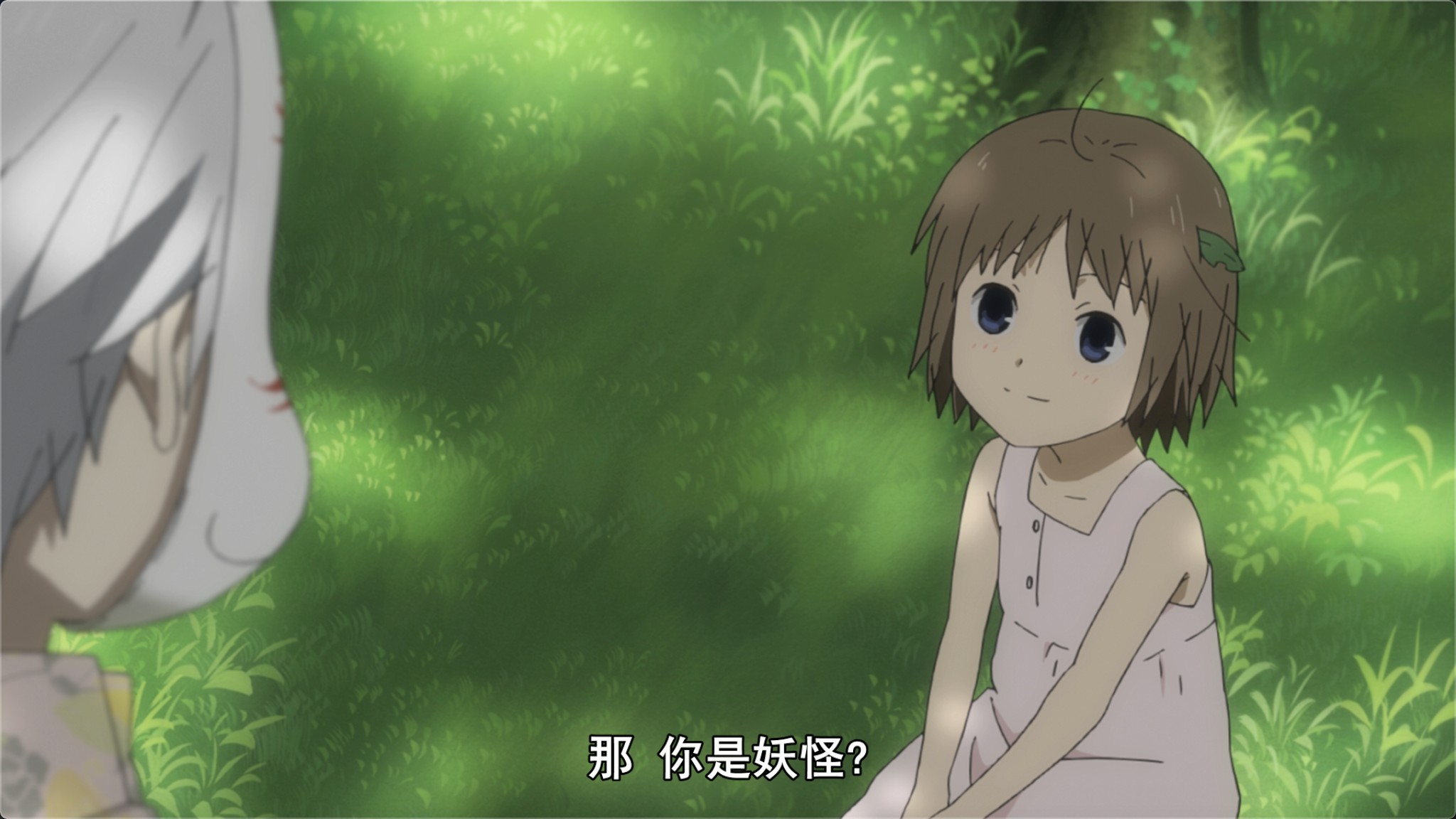 [萤火之森].Hotarubi.no.Mori.e.2011.BluRay.1080p.AVC.LPCM.2.0@jiulinxiri    22.01G-4.jpg