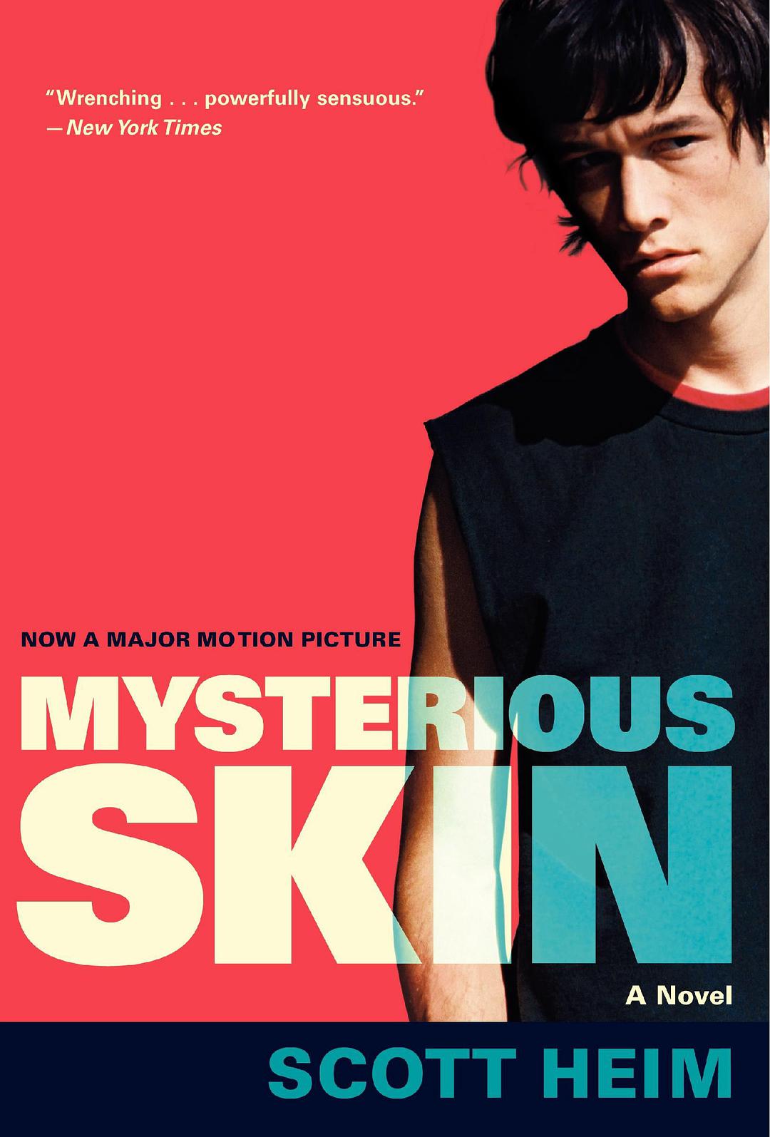 [神秘肌肤].Mysterious.Skin.2004.GER.BluRay.1080p.AVC.DTS-HD.MA.5.1-ASD87@HDSky      34.07G-2.jpg