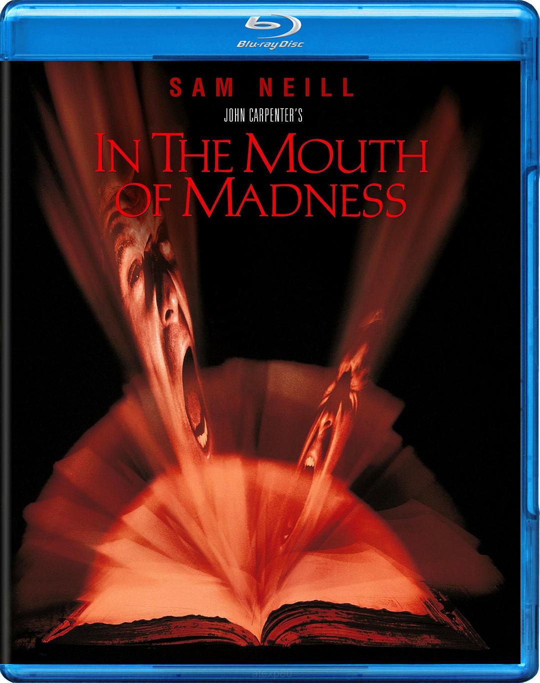 [战栗黑洞].In.the.Mouth.of.Madness.1994.BluRay.1080p.AVC.DTS-HD.MA.5.1-CultFilms     44.38G-2.jpg