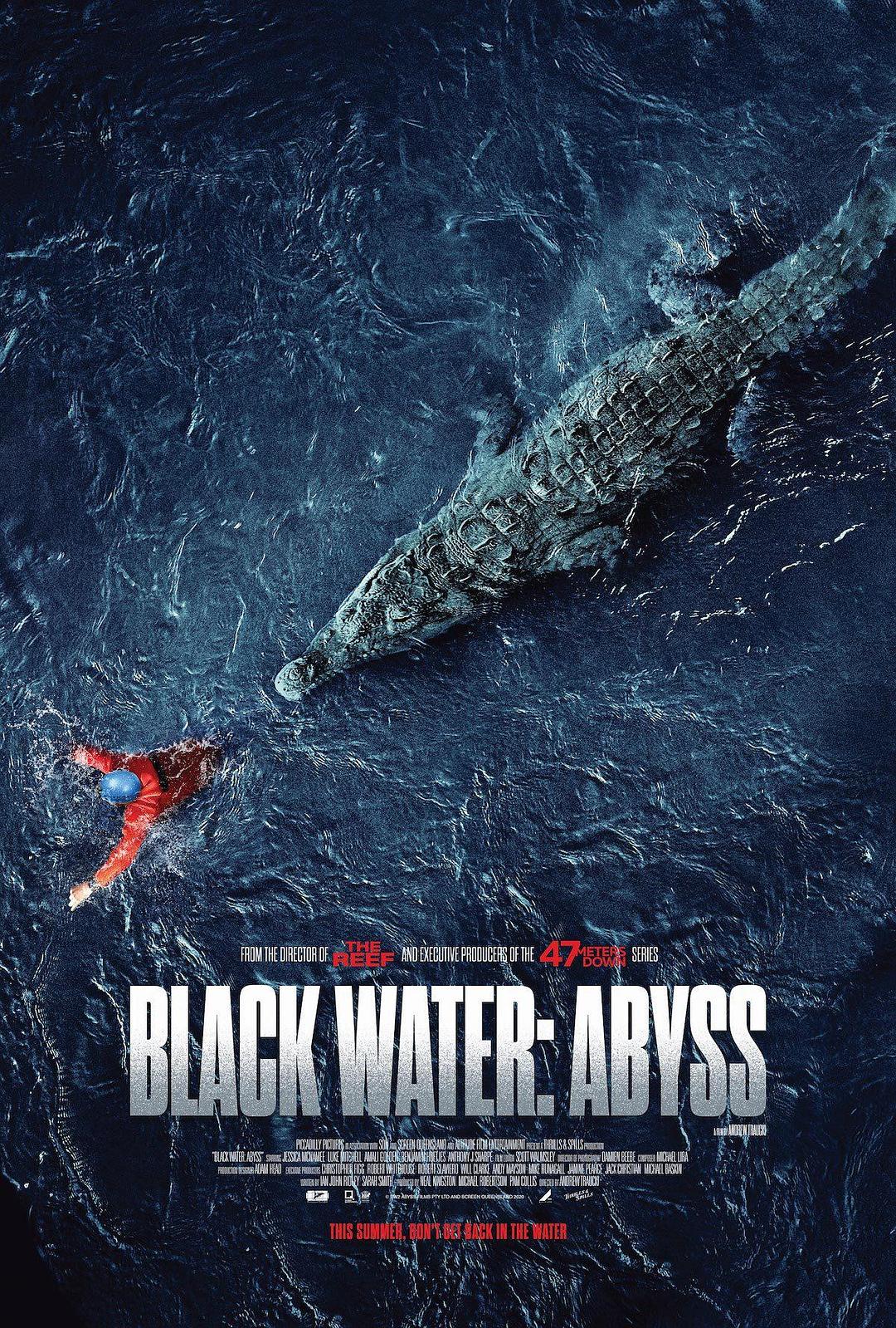 [ 绝命鳄口/黑水：深渊  ][DIY简繁英双语中字] Black Water Abyss 2020 BluRay 1080p AVC DTS-HD MA5.1-Soul@OurBits    [21.32 GB]-1.jpg