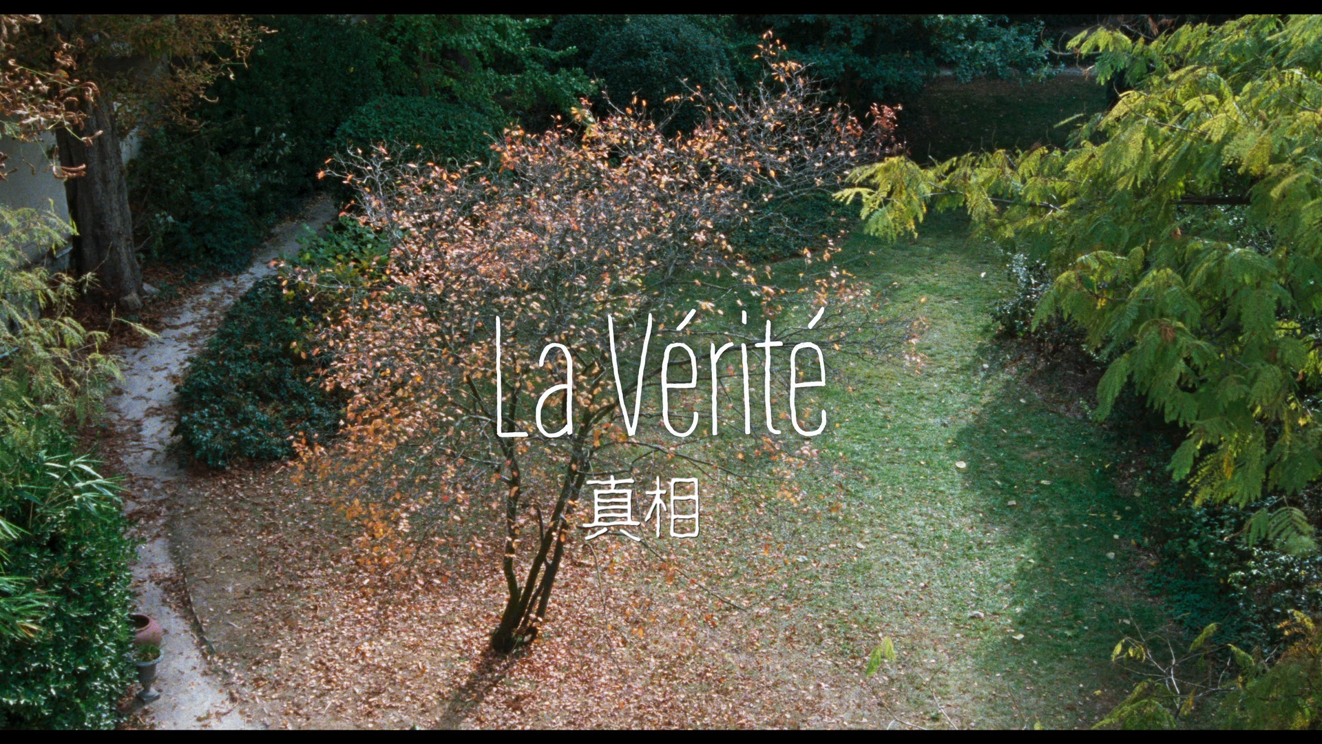 [ 真相 / 凯瑟琳的真相 / 母女 ][DIY/简繁字幕] The Truth AKA La vérité 2019 1080p FRA Blu-ray AVC DTS-HD MA 5.1-GeekArt@CHDBits [39.63 GB ]-4.png