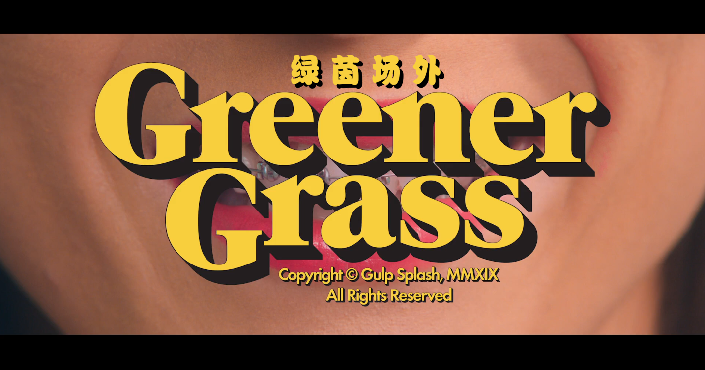 绿茵场外/绿草如阴(台) [DIY简繁/双语字幕] Greener Grass 2019 Blu-ray 1080p AVC DTS-HD MA 5.1-AA@OurBits    [36.78 GB]-2.png