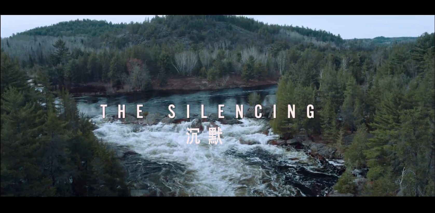 [ 沉默 / 沉默不语  ][DIY/简繁英特效字幕/ISO] The Silencing 2020 BluRay 1080p AVC DTS-HD MA 5.1-GeekArt@CHDBits  [22.77 GB]-2.png