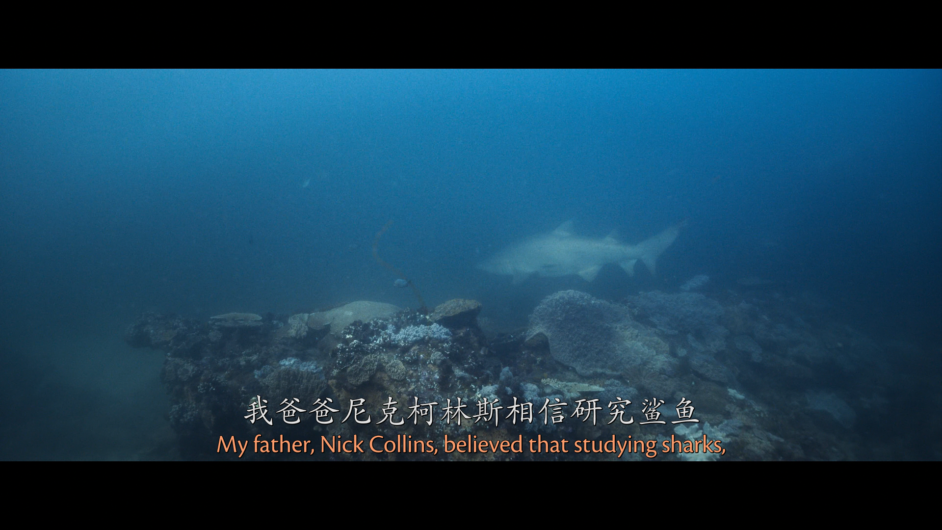 [ 深海狂鲨3  ] [DIY简繁/双语 画面内外八字幕]  Deep Blue Sea 3 2020 1080p Blu-ray AVC DTS-HD MA 5.1-WindRises@OurBits    [18.36 GB]-3.png