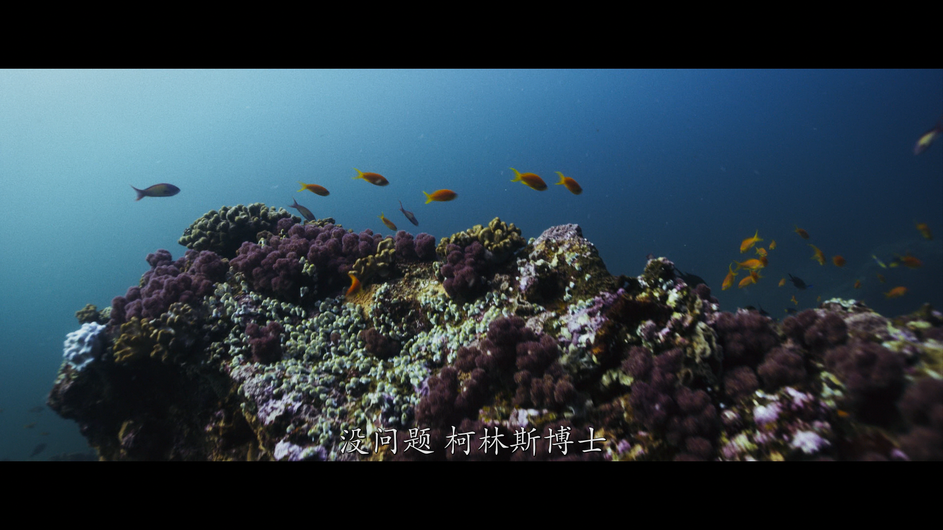 [ 深海狂鲨3  ] [DIY简繁/双语 画面内外八字幕]  Deep Blue Sea 3 2020 1080p Blu-ray AVC DTS-HD MA 5.1-WindRises@OurBits    [18.36 GB]-7.png