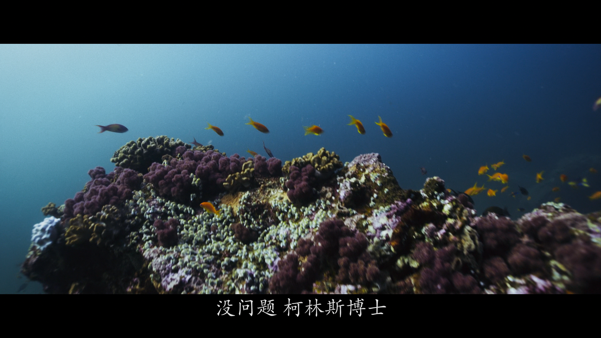 [ 深海狂鲨3  ] [DIY简繁/双语 画面内外八字幕]  Deep Blue Sea 3 2020 1080p Blu-ray AVC DTS-HD MA 5.1-WindRises@OurBits    [18.36 GB]-8.png