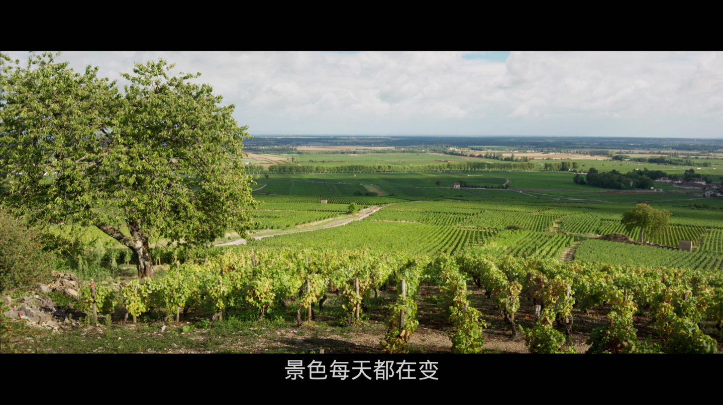 [浓情酒乡].Back.to.Burgundy.2017.FRA.BluRay.1080p.AVC.DTS-HD.MA.5.1@ZYN1998     39.98G-3.jpg