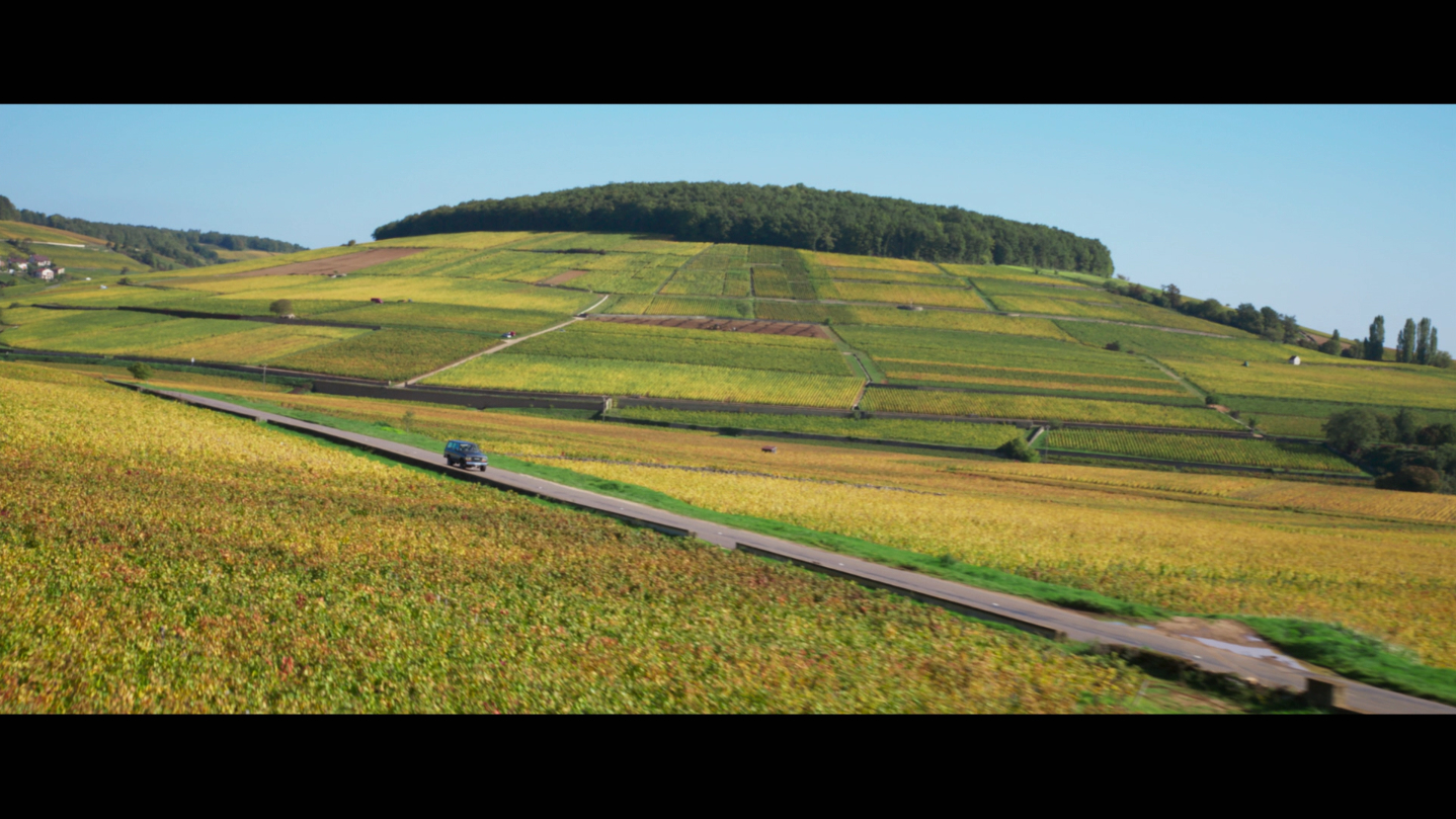 [浓情酒乡].Back.to.Burgundy.2017.FRA.BluRay.1080p.AVC.DTS-HD.MA.5.1@ZYN1998     39.98G-23.jpg