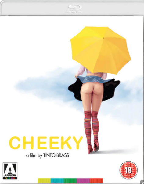 情人，别为我哭泣 / Cheeky！[DIY简繁字幕] ARROW版 [丁度大师作品，低调下载] Trasgredire 2000 Blu-ray 1080p AVC DTS-HD MA 5.1-wezjh@OurBits[27.66GB]-1.png