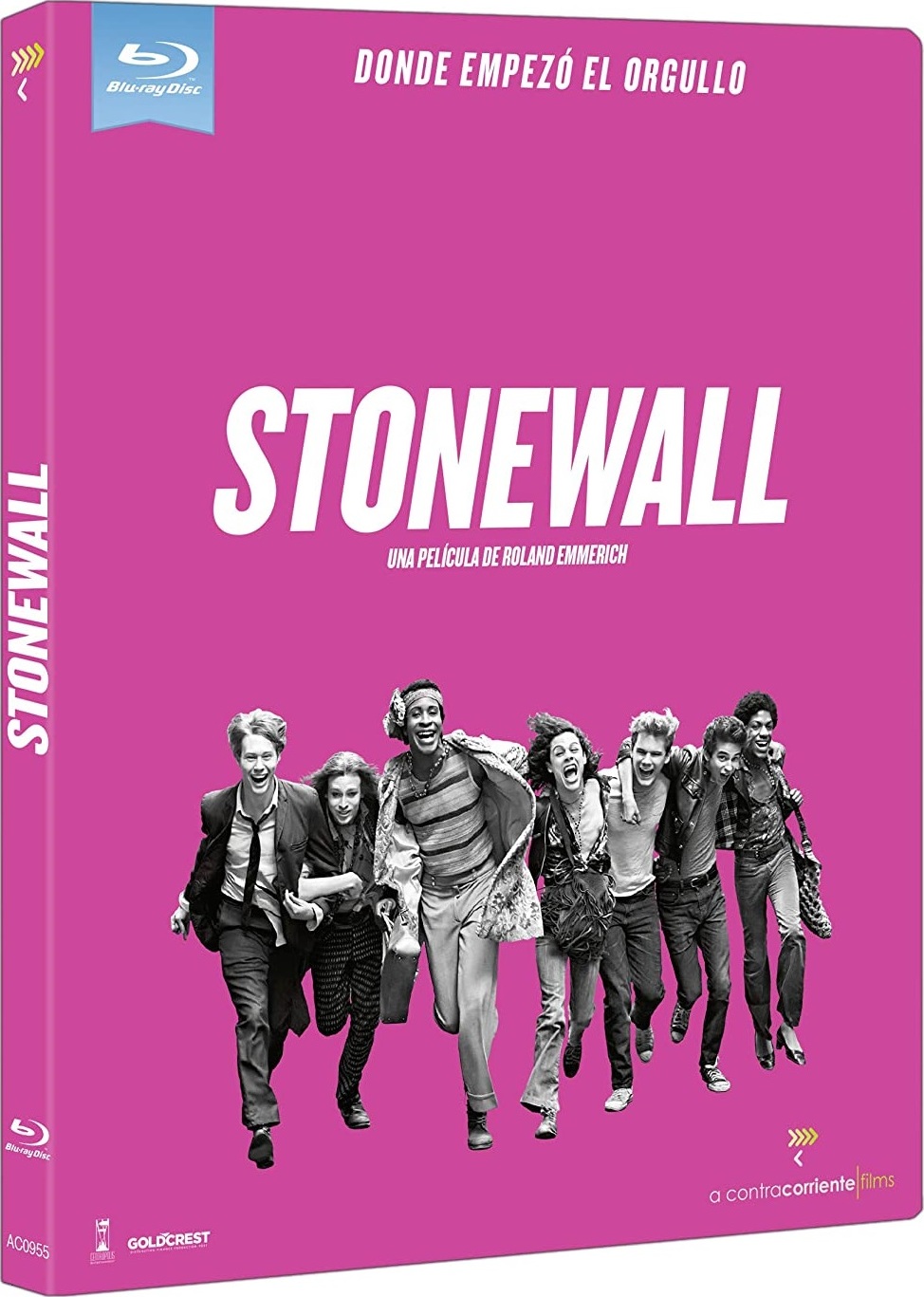 [石墙].Stonewall.2015.GER.BluRay.1080p.AVC.DTS-HD.MA.5.1-DIY@TTG     38.93G-2.jpg