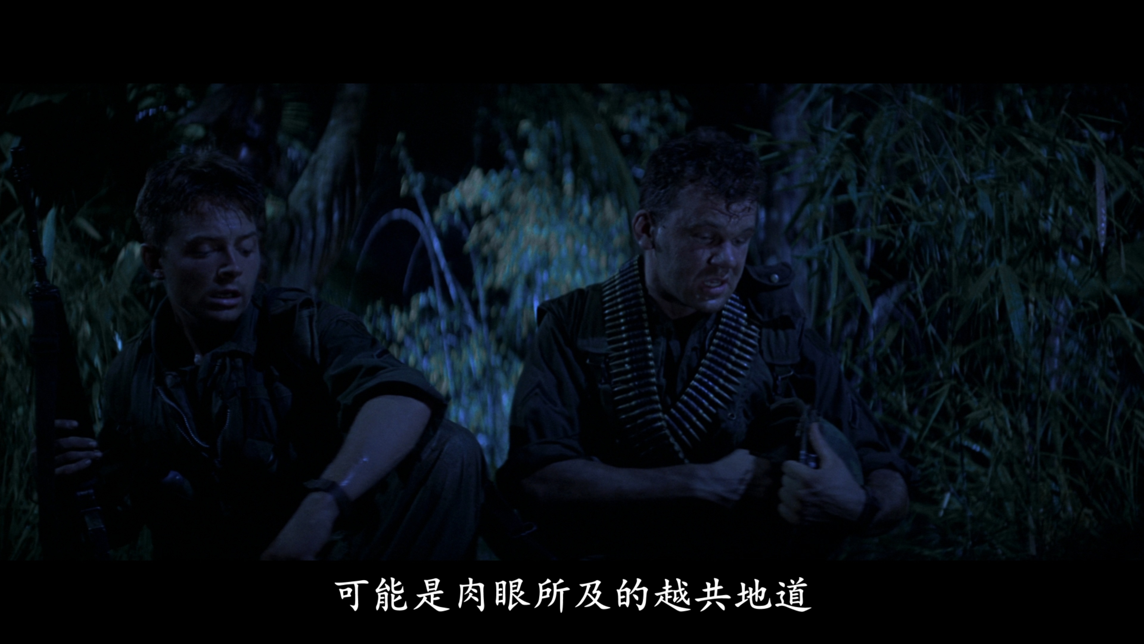 [越战创伤].Casualties.of.War.1989.BluRay.1080p.AVC.DTS-HD.MA.5.1-NGPan    32.32G-5.jpg