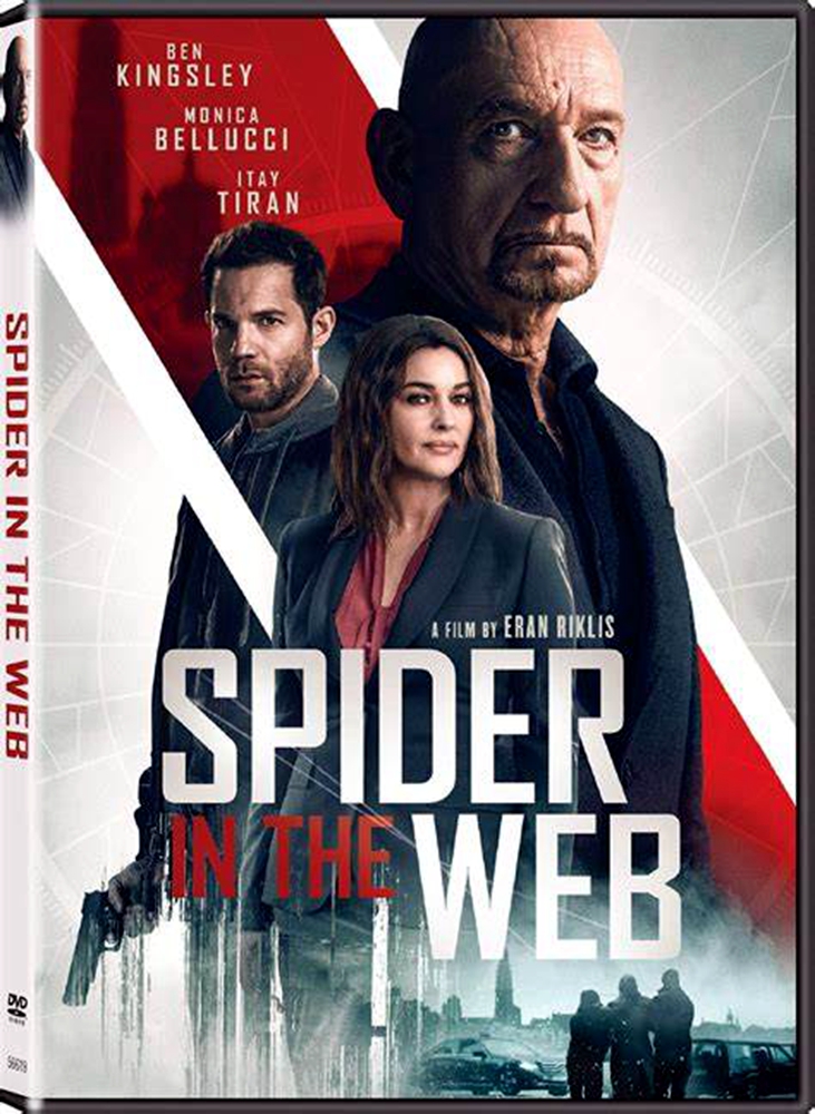 [网中蜘蛛].Spider.in.The.Web.2019.BluRay.1080p.AVC.DTS-HD.MA.5.1-DIY@TTG      35.96G-2.jpg