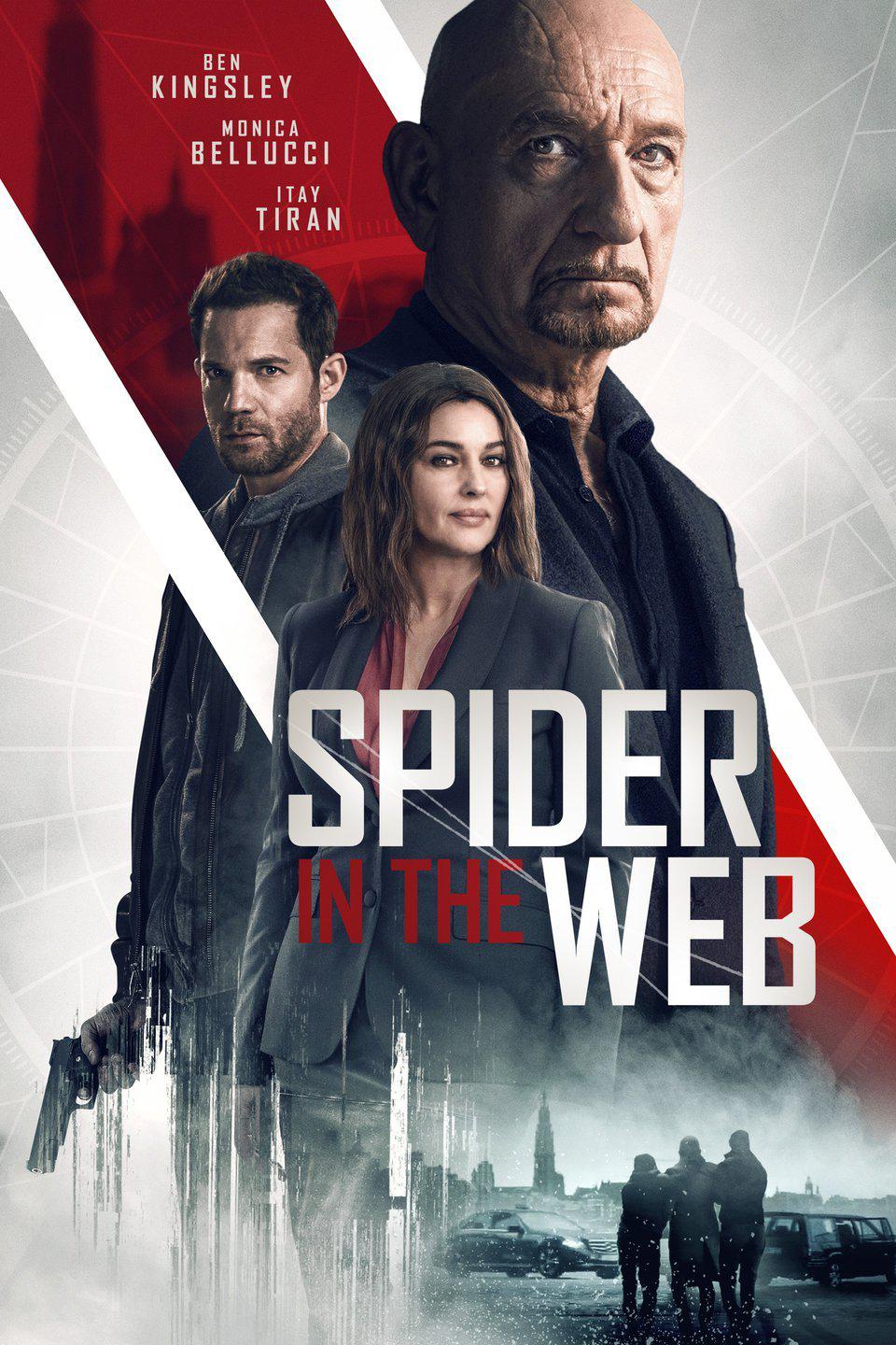 [网中蜘蛛].Spider.in.The.Web.2019.BluRay.1080p.AVC.DTS-HD.MA.5.1-DIY@TTG      35.96G-3.jpg