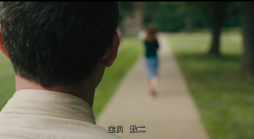 [雪莉]*DIY简繁中字Shirley 2020 1080p Blu-ray AVC DTS-HD MA 5.1-003@TTG[27.38GB]-6.png