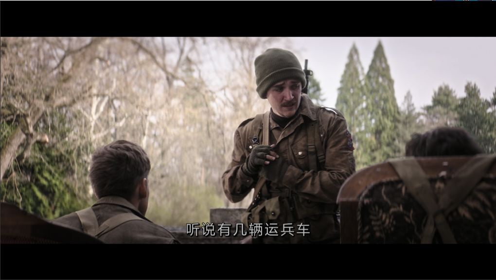 [战争幽灵]*DIY iTunes简繁中字 Ghosts Of War 2020 1080p GER Blu-ray AVC DTS-HD MA 5.1-003@TTG[31.08GB]-3.png