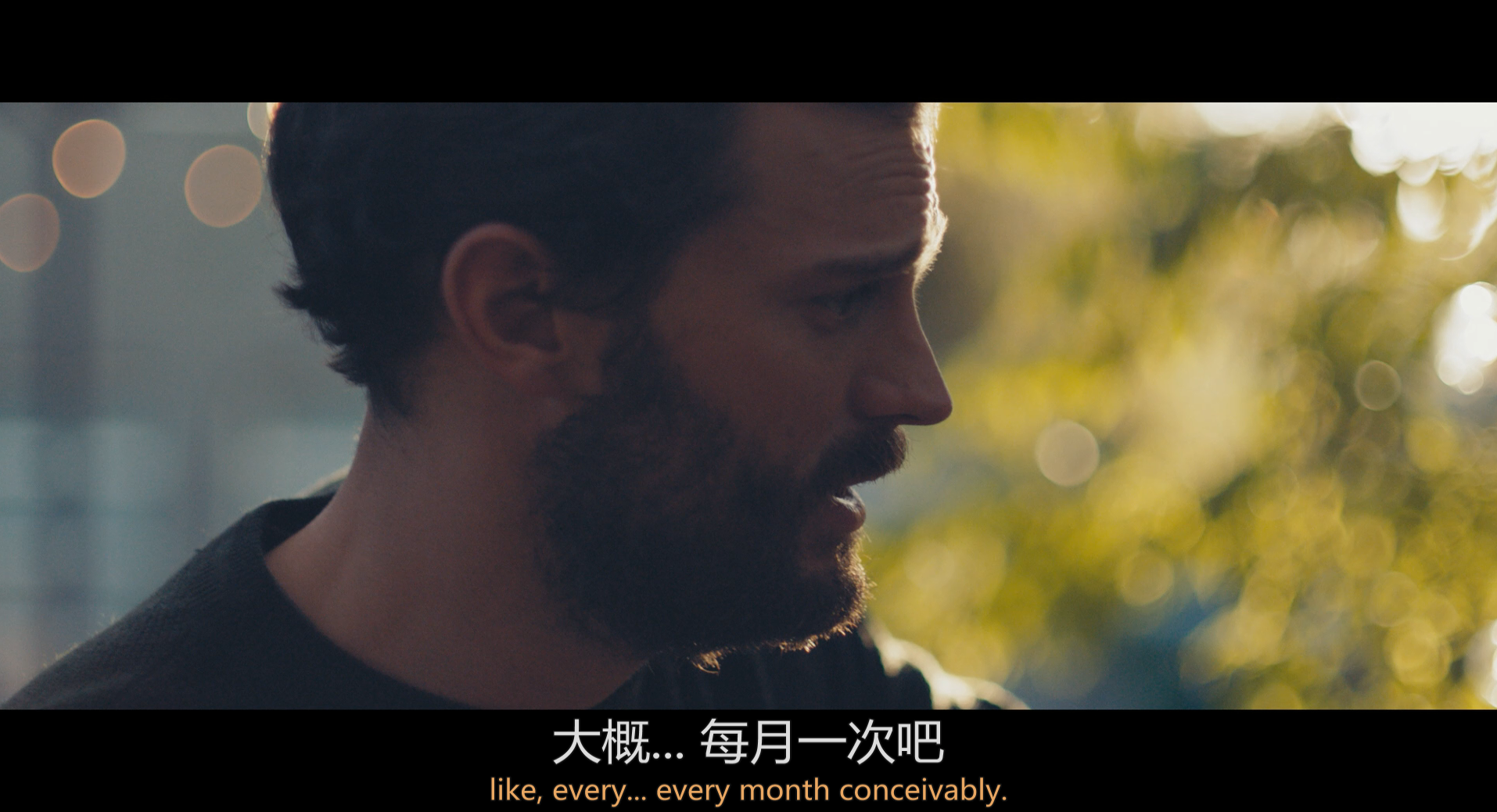 [结束，开始 / 爱情，是开始还是结束(台)]*DIY简繁中字  Endings Beginnings 2019 1080p Blu-ray AVC DTS-HD MA 5.1-003@TTG [37.97 GB]-4.png