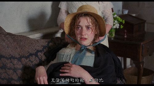 理智与情感/理性与感性[DIY简繁中字国语音轨] Sense and Sensibility 1995 BluRay 1080p AVC DTS-HDMA 5.1-DIY-HDU    [44.50 GB ]-5.jpg