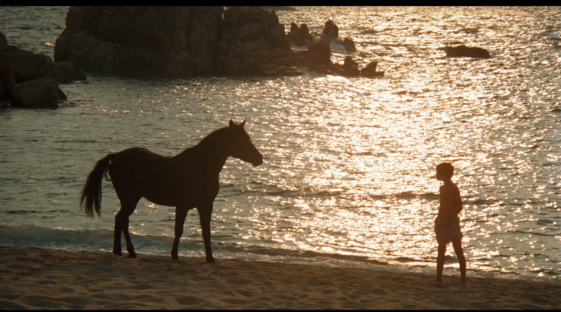 黑神驹/沙漠黑驹/灵驹 [简体/简英双语字幕] The Black Stallion 1979 1080p Criterion Collection Blu-ray AVC DTS-HD MA 2 0-DIY@miracle1934[44.03GB]-8.jpg