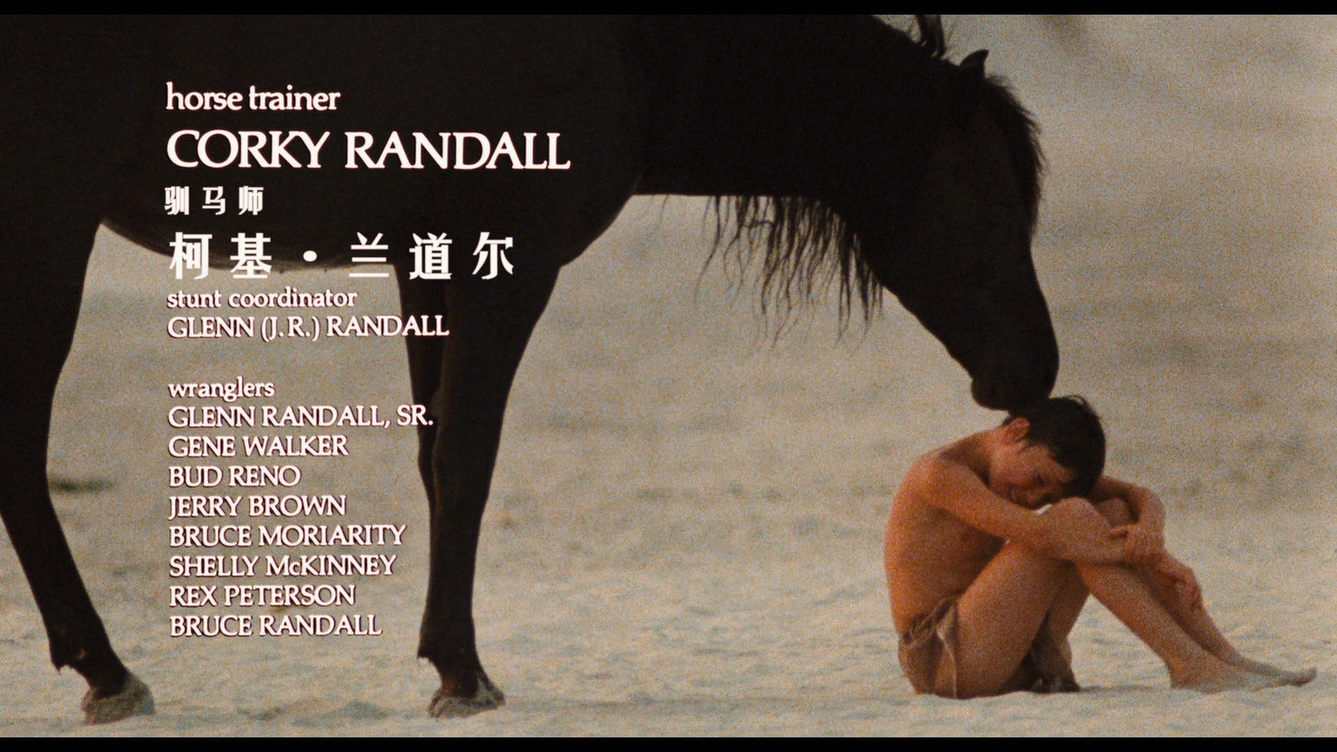 黑神驹/沙漠黑驹/灵驹 [简体/简英双语字幕] The Black Stallion 1979 1080p Criterion Collection Blu-ray AVC DTS-HD MA 2 0-DIY@miracle1934[44.03GB]-9.jpg