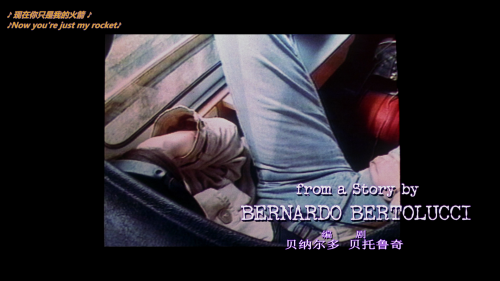 偷香 [DIY特效简繁中字] Stealing Beauty 1996 1080p GER Blu-ray AVC DTS-HD MA 5.1-DIY@LeagueHD [ 45.89 GB]-3.png