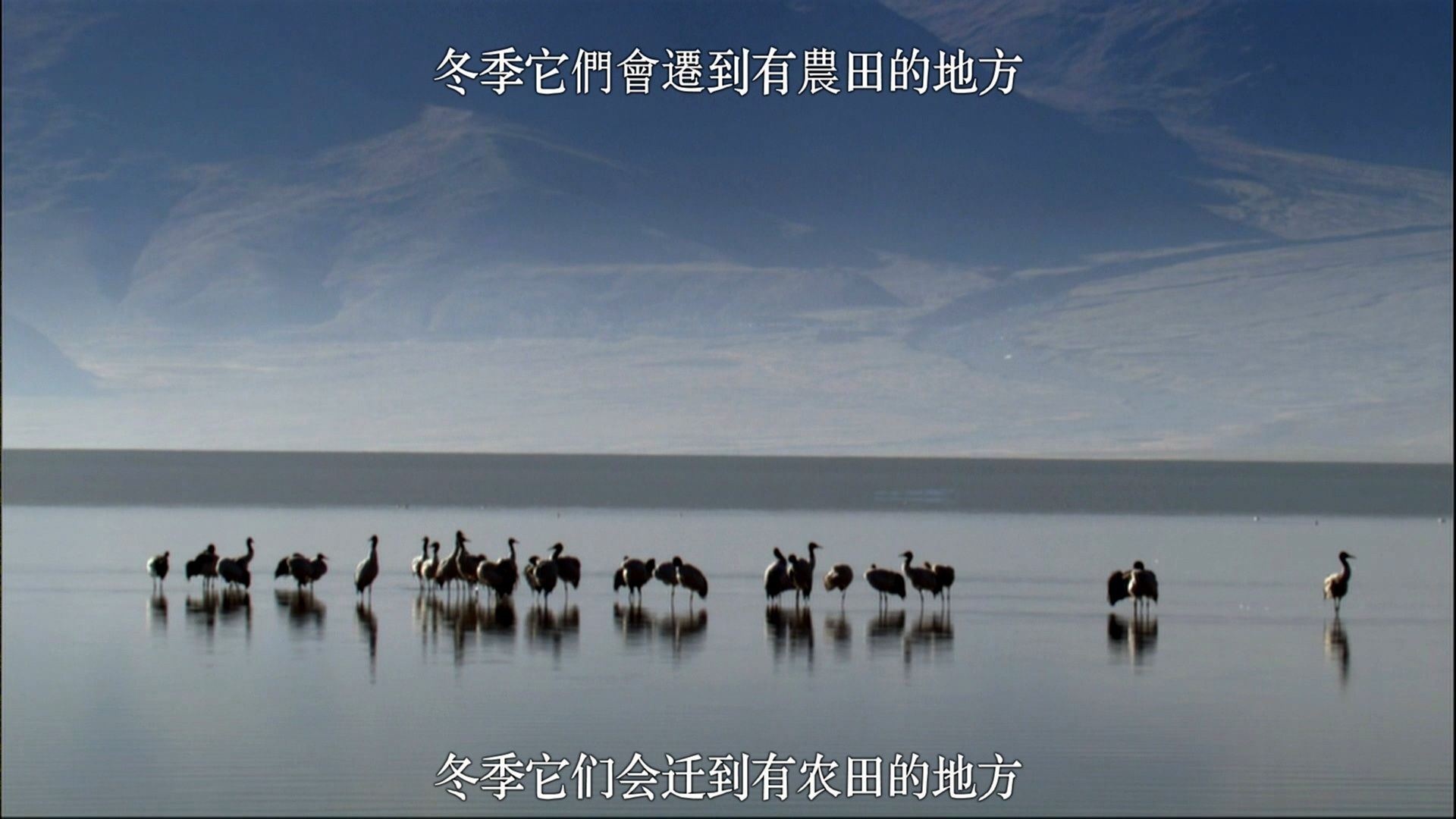 BBC：[美丽中国][原盘重混DTS音效国语/国配/简繁特效] BBC：Wild China.2Disc.2008.Blu-ray.AVC.1080i.DTS-HD.MA.5.1-DIY@szdqwx[93.61GB]-8.jpg