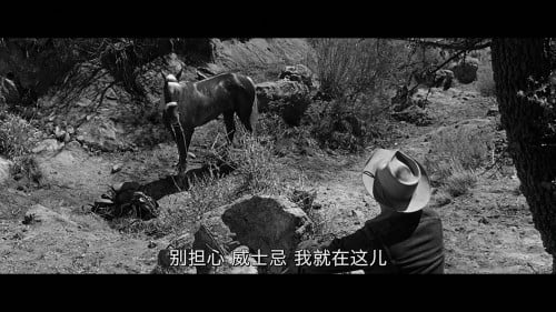 [自古英雄多寂寞][DiY简繁+简英繁英双语字幕] Lonely Are the Brave 1962 1080p Blu-ray AVC DTS-HD MA 2.0-DiY@HDHome[34.51GB]-5.jpg