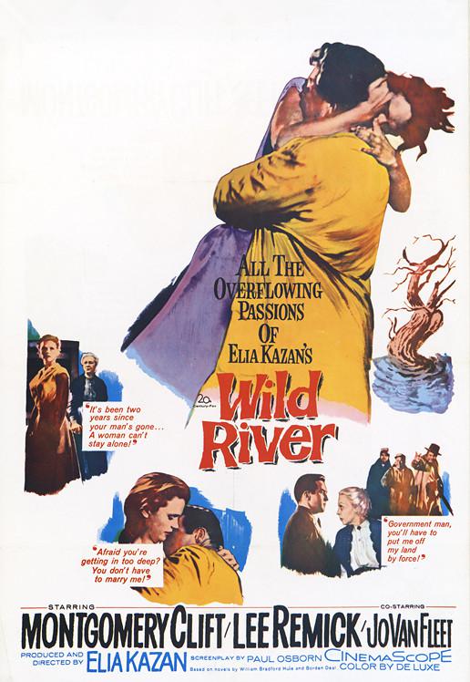 狂澜春醒/狂野之河 /野河 [DIY/简繁英双语字幕] Wild River 1960 1080p GBR Blu-ray AVC LPCM 1.0-DiY@PTHome[30.74GB]-2.jpg