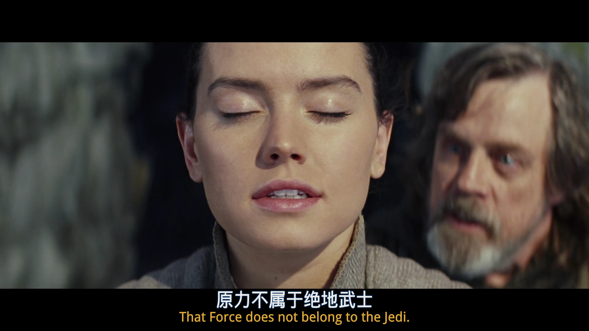 星球大战8：最后的绝地武士 [DIY DolbyVision 次世代国语 国配简繁双语特效] Star Wars The Last Jedi 2017 UHD 2160p HEVC Atmos TrueHD7 1-SGnb@CHDBits[63.93GB]-9.jpg