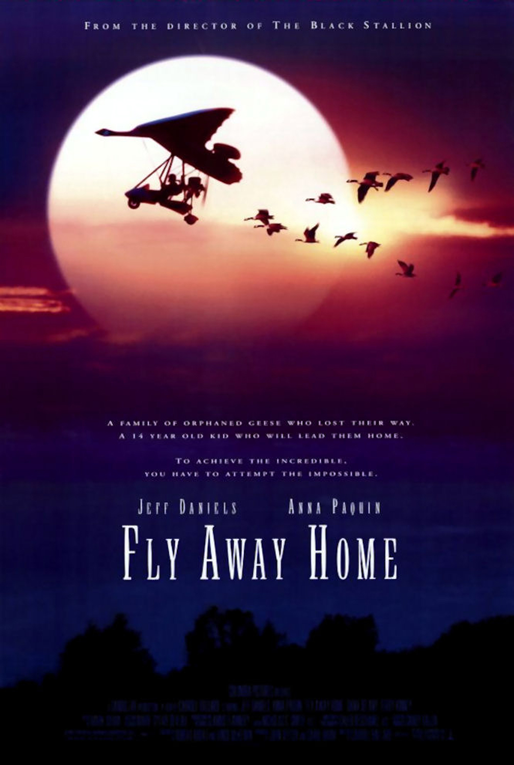 [伴你高飞 Fly Away Home 1996][DIY国语简繁双语特效][HDStar][31.74GB]-1.jpg