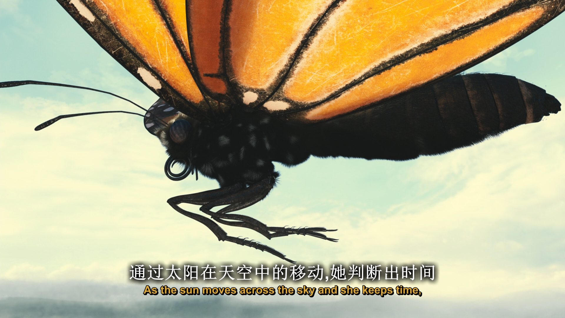 帝王蝶的迁徙 纪录片[DIY 简繁英双语字幕] Flight of The Butterflies 2012 MULTi 1080p Bluray AVC TrueHD Atmos 7 1-PWt@OurBits[24.44GB]-6.jpg