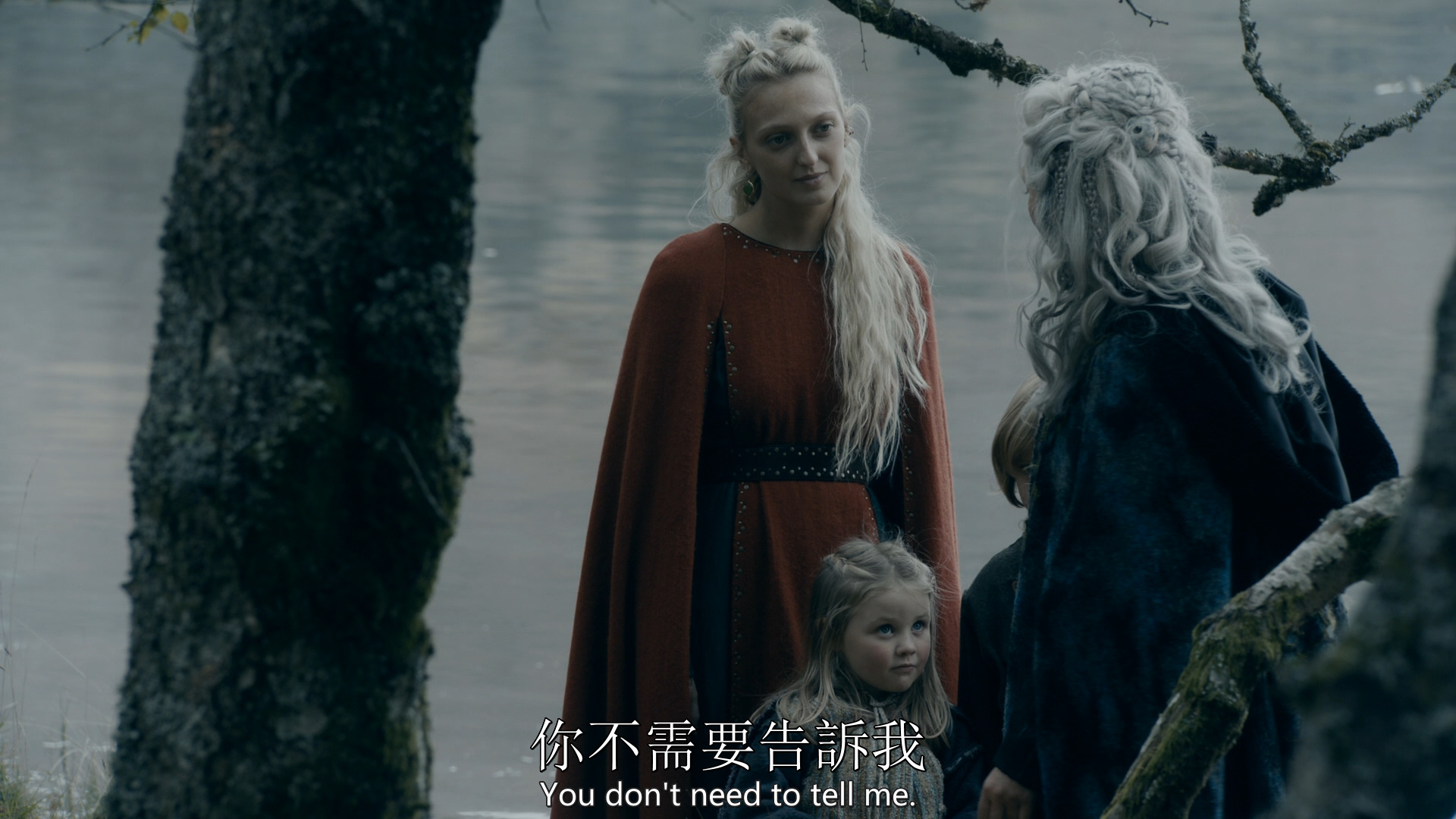 维京传奇 第六季 20集全剧终 [DIY 简繁英双语字幕]**ISO封装** Vikings Season 2019 S06 1080p BluRay AVC DTS-HD MA5 1-PWt@OurBits[213.17GB]-8.jpg