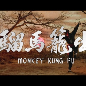 出笼马骝 出籠馬騮 Monkey Kung Fu 1979 1080p Blu-ray AVC LPCM 2.0[32.96GB]-3.png